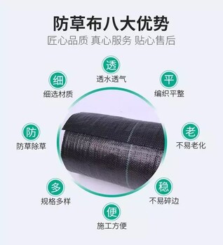 田林縣防草布廠家電話，防草布多少錢一米，黑色蓋草布一米多少錢