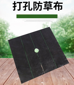 遂昌防草布廠家，麗水除草布價格，蓋草布價格低，園藝地布質(zhì)量