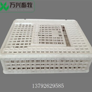 供應(yīng)萬(wàn)興畜牧肉雞轉(zhuǎn)運(yùn)籠運(yùn)雞筐商品雞運(yùn)輸筐