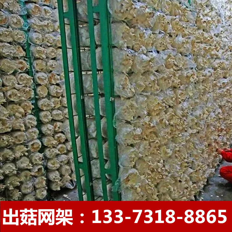 u=3028977347,2641474876&fm=253&fmt=auto&app=138&f=JPEG.webp_副本.jpg