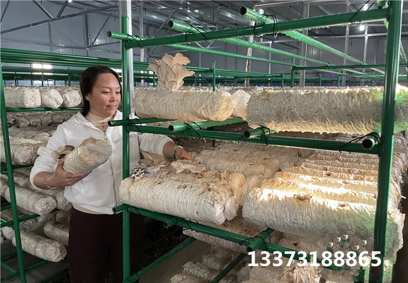 香菇架子副本.jpg