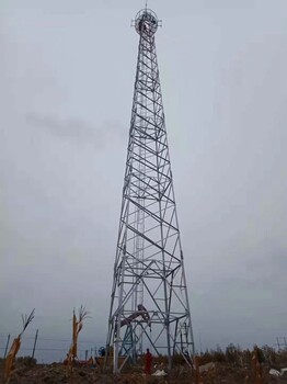 30米四角鋼結(jié)構(gòu)瞭望塔，草原防火監(jiān)控塔，GFL1-5避雷針?biāo)? />
</div>
</div>
</div>
</div>
<div style=
