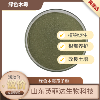 山東綠色木霉微生物綠色木霉綠色木霉孢子粉
