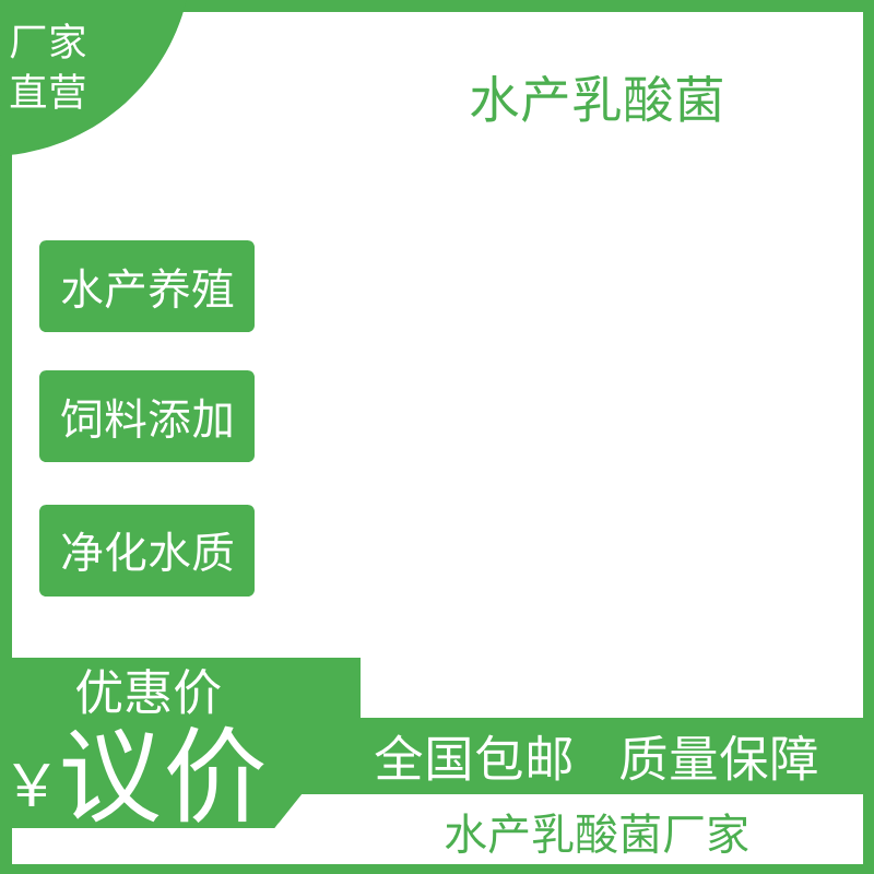 乳酸菌(4).png