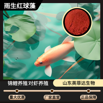 飼料發(fā)酵菌種漁業(yè)飼料發(fā)酵水產(chǎn)發(fā)酵菌劑
