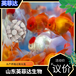 臭氧增氧片水產臭氧片養殖臭氧片廠家龍蝦養殖臭氧片