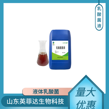 微生物發(fā)酵菌種飼料級(jí)乳酸菌微生物乳酸菌廠家