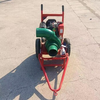 防澇抗旱灌溉移動(dòng)水泵城市防汛水泵機(jī)組自吸水泵移動(dòng)抽水泵