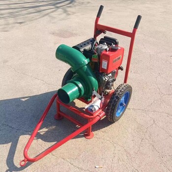 防澇抗旱灌溉移動(dòng)水泵城市防汛水泵機(jī)組自吸水泵移動(dòng)抽水泵