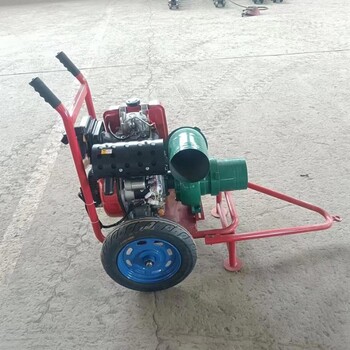 防澇抗旱灌溉移動(dòng)水泵城市防汛水泵機(jī)組自吸水泵移動(dòng)抽水泵