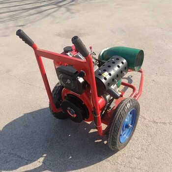 果園農(nóng)田灌溉用柴油機(jī)水泵家用小型柴油機(jī)抽水泵