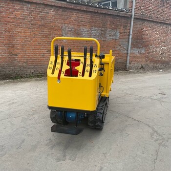 小型山地履帶運(yùn)輸車農(nóng)用爬坡全地形爬山虎履帶運(yùn)輸車廠家