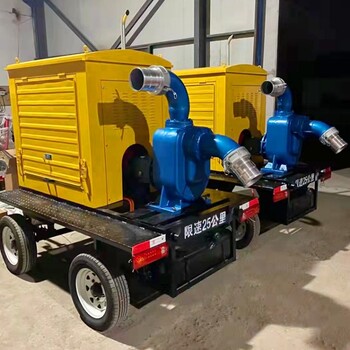 應(yīng)急防汛泵車12寸抗洪排水移動(dòng)泵車自吸式柴油機(jī)水泵