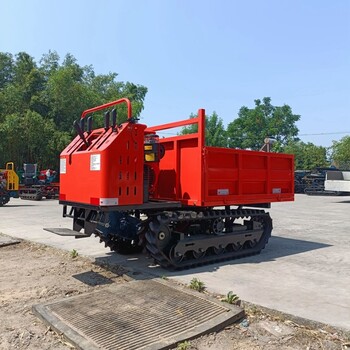水坑行走履帶運(yùn)輸車山地果園爬山機(jī)小型山地履帶運(yùn)輸車