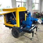 無(wú)堵塞排澇泵自吸抽水泵防汛抗旱水泵機(jī)組抗洪排澇水泵機(jī)