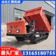 3噸履帶爬山虎34.jpg