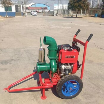 柴油6寸抽水泵防澇抗旱灌溉移動水泵城市防汛水泵機(jī)組