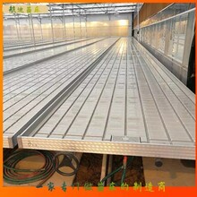 潮汐式灌溉苗床溫室花卉潮汐苗床航迪供應(yīng)價格圖片