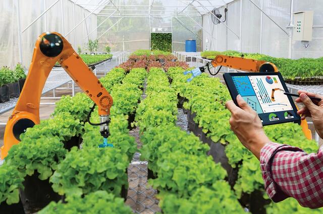 人工智能帶動智慧農業新風口