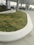 江苏扬州花坛座凳景观工程磨石新工艺新型泰科磨石座椅
