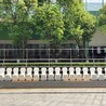 深圳龍崗商會合照拍攝會議集體照拍攝大合影臺階出租