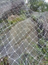 边坡防护网山体护坡固土网SNS柔性防护网钢丝绳环形网