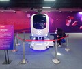 石家莊市VR滑雪出租VR賽車出租VR沖浪租賃VR飛機