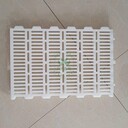 豬圈漏糞板加厚塑料豬屎板小豬漏糞板