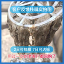 污水氨氮超标就用它硝化细菌