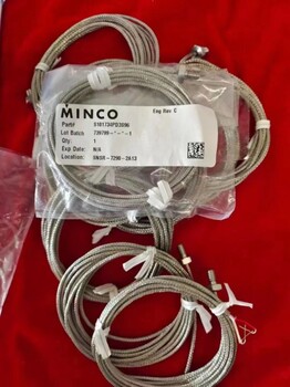 MINCO埋入式熱電阻S14455PD3S160