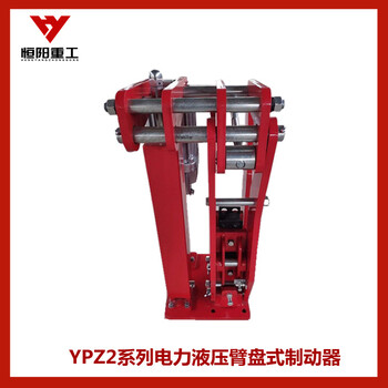 恒阳重工加工定制YPZ2I-315/80臂盘式制动器液压臂盘式制动器