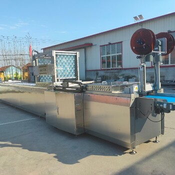 烤腸拉伸膜真空包裝機(jī)封口機(jī)