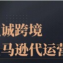 江蘇亞馬遜代運營如何收費，代運營主要負責什么