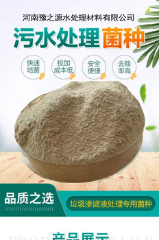 新型復合菌種/微生物促進發酵劑凈化水體厭氧菌劑除磷菌
