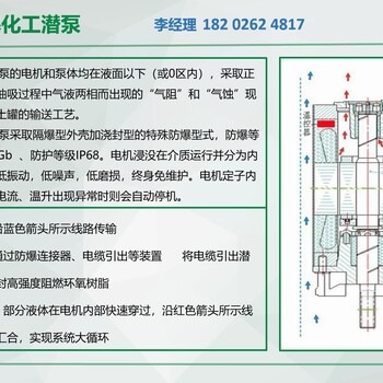 绿牌地下罐防爆化工潜泵Ga等级零区防爆质保3年免维护液下泵