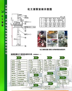 唐山市绿牌ⅡBT4防爆不锈钢潜液泵0区液下屏蔽泵