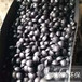  Yujinhan Non drying Coal Ball Glue Powder Quick Drying Adhesive