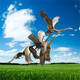 u=732880469,59352557&fm=253&fmt=auto&app=138&f=JPE