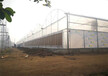 巴基斯坦温室项目 智能连栋温室生厂厂家 玻璃温室 集装箱温室