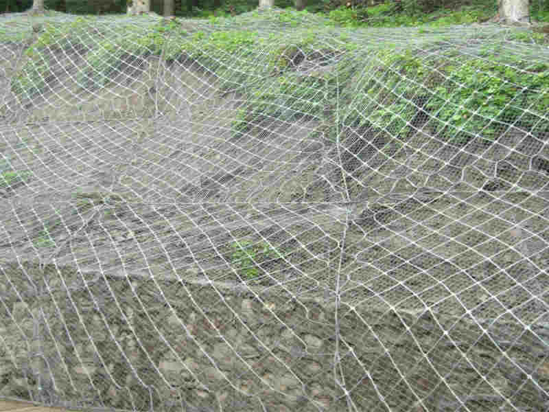 主動網 (2).jpg
