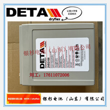 德国DETA银杉蓄电池2VEG100通信机房UPS储能用2V-100Ah铅酸电池