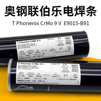 德國蒂森Thermaint-25/14ED不銹鋼焊條E309L-15