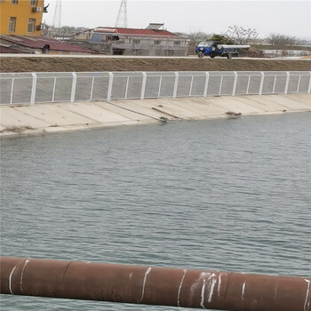 水渠隔離網，水庫防護網，水源地隔離網