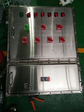 不銹鋼防爆控制箱適用粉塵氣體環境遼飛防爆圖片