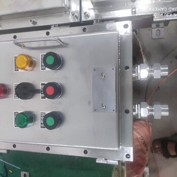 BXD-6-80K100防爆動力檢修箱遼飛防爆