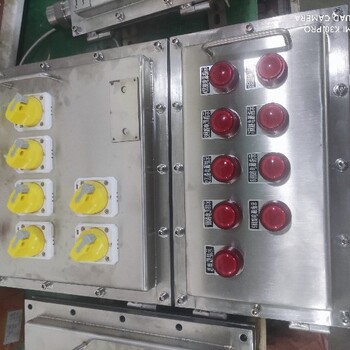遼飛防爆BMG58-T防爆電源箱非標(biāo)定做