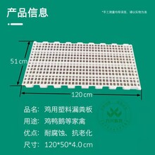 鸭用塑料地板鸡鸭鹅泄粪板漏粪地板图片