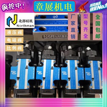 北部精機電磁溢流閥HSRF-G03-1NP-2-L-A110-20-3