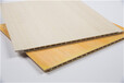 汕头竹木纤维集成墙板竹炭纤维碳晶板木饰面护墙板