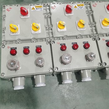 BXX51-6防爆檢修箱電源箱